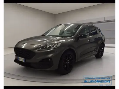 Usado Ford Kuga ST-Line X 120 CV (88 kW) 2023 Gris SUV