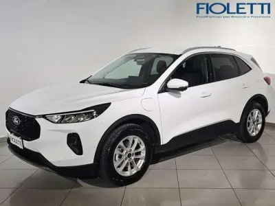 Usata Ford Kuga