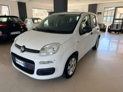 Usata Fiat Panda Easy 69 CV (50 kW) 2016 Bianco Utilitaria
