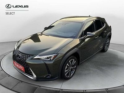 Usata Lexus UX 250h Executive Line 184 CV (135 kW) 2019 Verde SUV