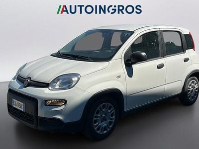 Usata Fiat Panda S 70 CV (51 kW) 2023 Bianco Utilitaria