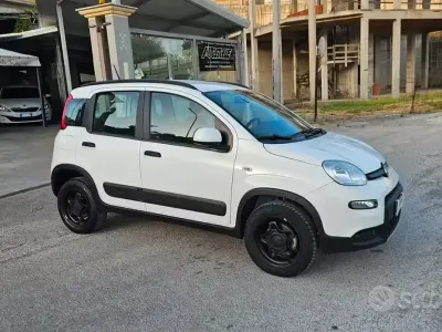 Usata Fiat Panda 4x4 S 85 CV (62 kW) 2020 Bianco Utilitaria