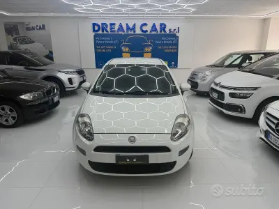 Usata Fiat Punto Lounge 69 CV (50 kW) 2014 Bianco Utilitaria