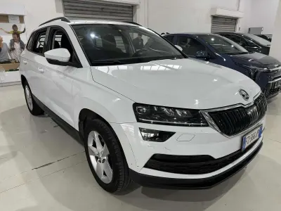 Second-hand Skoda Karoq Executive 116 CP (85 kW) 2019 Alb SUV