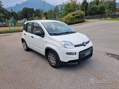 Usata Fiat Panda 70 CV (51 kW) 2024 Bianco Utilitaria
