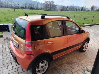 Usata Fiat Panda 4x4 Climbing 2008 Utilitaria