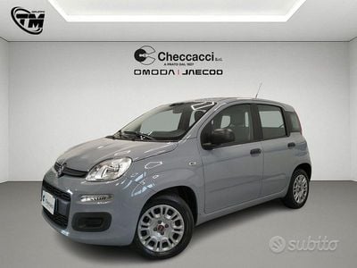 Usata Fiat Panda S 69 CV (50 kW) 2022 Utilitaria