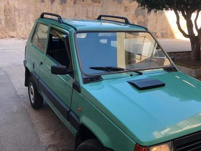 usata Fiat Panda 4x4 trekking