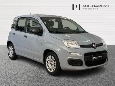 Usata Fiat Panda S 70 CV (51 kW) 2021 Grigio Utilitaria