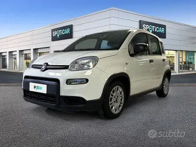 Usata Fiat Panda S 70 CV (51 kW) 2023 Bianco Utilitaria