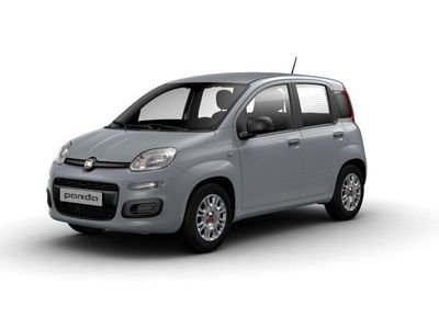 usata Fiat Panda Cross 1.0 FireFly S&S Hybrid City del 2023 usata a Varese