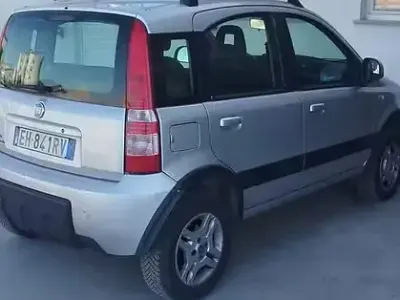 Usata Fiat Panda 4x4 69 CV (50 kW) 2011 Grigio Utilitaria