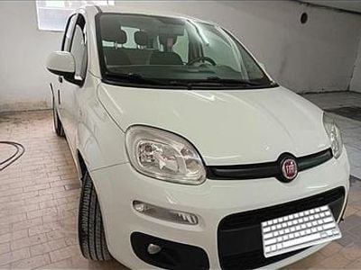 Usata Fiat Panda 2015 Bianco Utilitaria