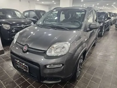 Usata Fiat Panda City Life 71 CV (52 kW) 2023 Grigio colosseo Utilitaria