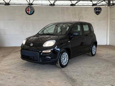 usata Fiat Panda 1.0 FireFly S&S Hybrid