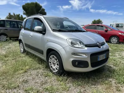 Usata Fiat Panda Easy 69 CV (50 kW) 2013 Argento Utilitaria