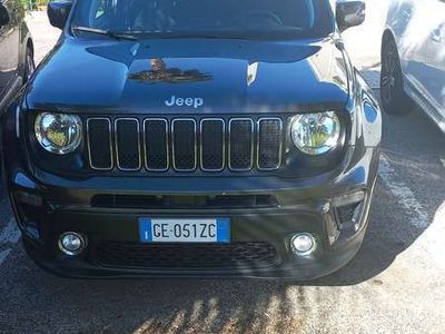 usata Jeep Renegade Renegade2019 1.6 mjt Business 2wd 130cv