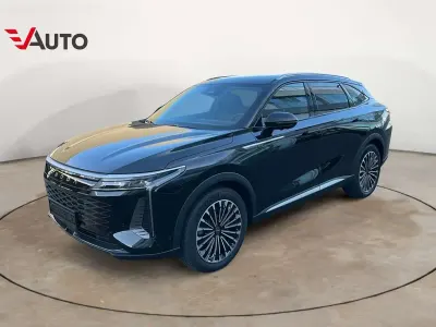 Usata Omoda 9