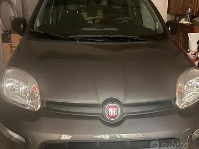 Usata Fiat Panda 70 CV (51 kW) 2023 Utilitaria