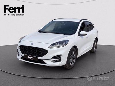 Usata Ford Kuga ST-Line 120 CV (88 kW) 2023 Bianco SUV