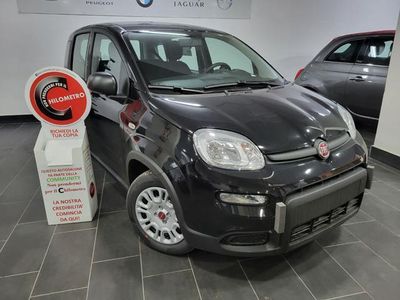 usata Fiat Panda Panda 1.0 FireFly S&S Hybrid