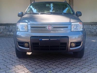 Usata Fiat Panda 4x4 Climbing 75 CV (55 kW) 2011 Grigio Utilitaria