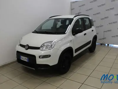 Usata Fiat Panda 4x4 S 86 CV (63 kW) 2019 Bianco Utilitaria