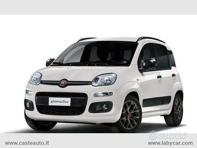 Usata Fiat Panda Icon 2024 Giallo Utilitaria