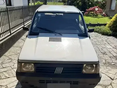 Usata Fiat Panda 54 CV (39 kW) 2002 Grigio Utilitaria