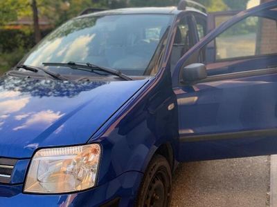 Usata Fiat Panda Dynamic 60 CV (44 kW) 2009 Blu Utilitaria