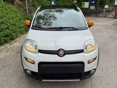 Usata Fiat Panda 4x4 75 CV (55 kW) 2014 Utilitaria