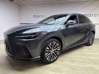 Usata Lexus RX350h Executive Line 250 CV (183 kW) 2023 Grigio SUV