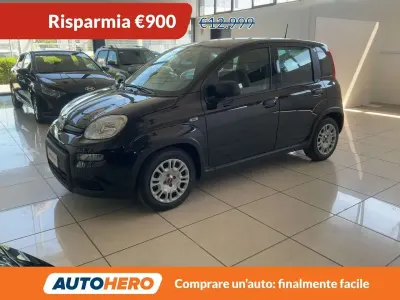 Usata Fiat Panda 69 CV (50 kW) 2023 Nero Utilitaria