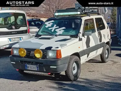 Usata Fiat Panda 4x4 Trekking 54 CV (39 kW) 2000 Bianco Utilitaria