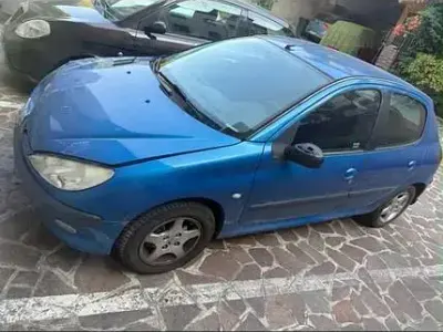Usata Peugeot 206