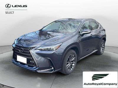 Usata Lexus NX300 Business Edition 243 CV (178 kW) 2023 Grigio SUV