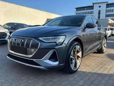 Usata Audi e-tron