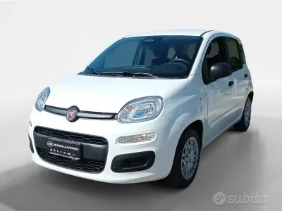 Ny Fiat Panda Icon 65 HK (47 kW) 2026 Vit Halvkombi