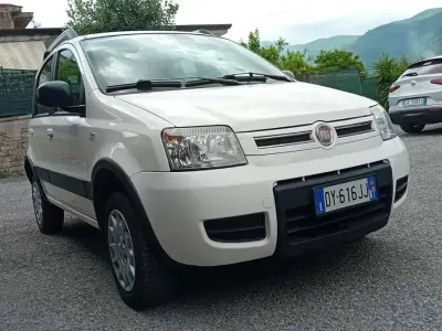 Usata Fiat Panda 4x4 Climbing 69 CV (50 kW) 2010 Utilitaria