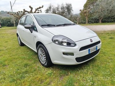 Usata Fiat Punto Young 77 CV (56 kW) 2014 Utilitaria