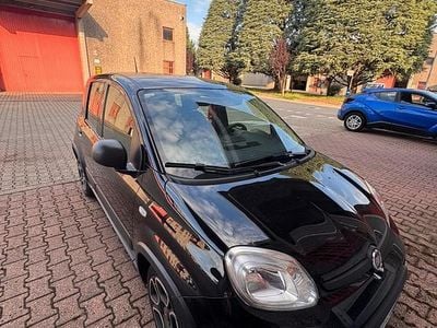 Usata Fiat Panda 2022 Nero Utilitaria