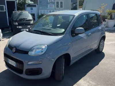 Usata Fiat Panda Easy 95 CV (69 kW) 2018 Grigio Utilitaria