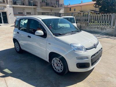 usata Fiat Panda 1.2 Easy