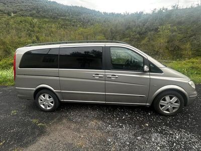 Mercedes Viano