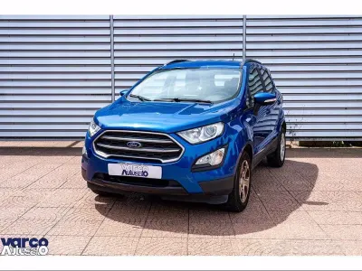 Usata Ford Ecosport 100 CV (73 kW) 2019 Grigio SUV