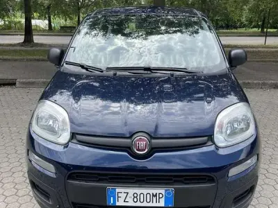 Usata Fiat Panda Easy 69 CV (50 kW) 2019 Utilitaria
