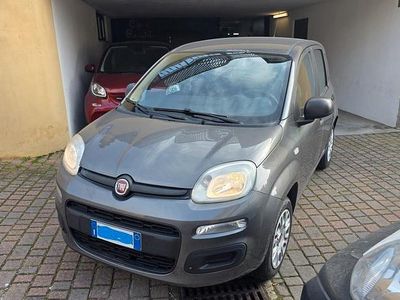 Usata Fiat Panda Pop 69 CV (50 kW) 2019 Grigio Utilitaria