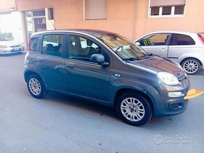Usata Fiat Panda Lounge 69 CV (50 kW) 2019 Grigio Utilitaria