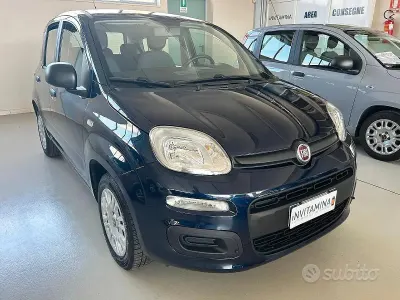 Usata Fiat Panda Easy 69 CV (50 kW) 2019 Bluazzurro Utilitaria