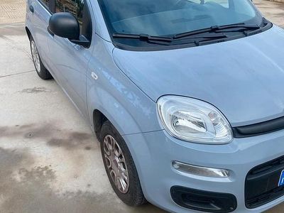 Usata Fiat Panda 70 CV (51 kW) 2019 Grigio Utilitaria